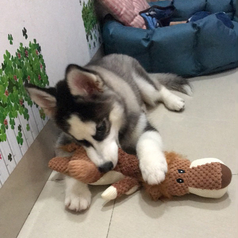 Bite-Resistant Chew Toy