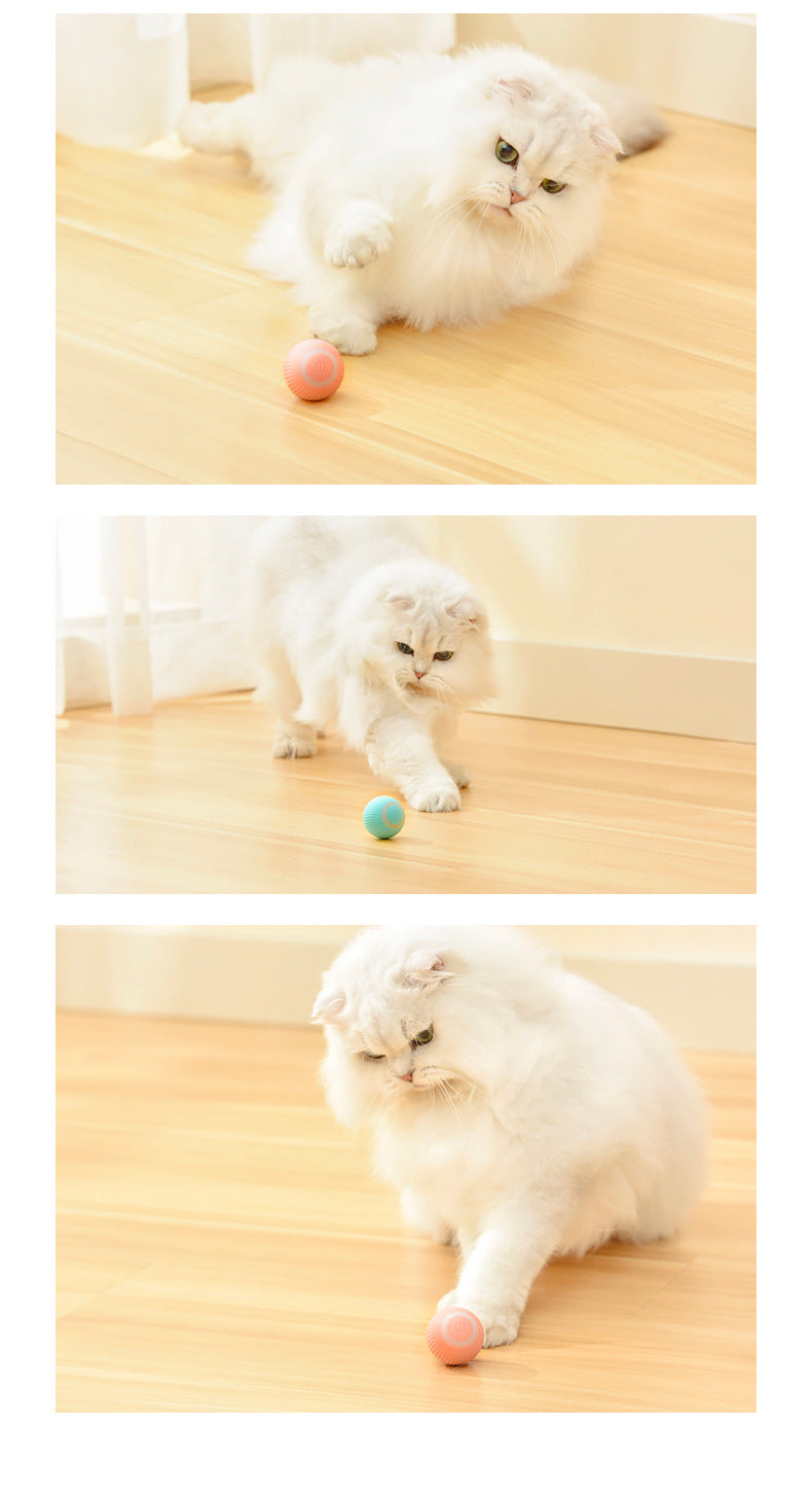 Controlled Automatic Moving Ball