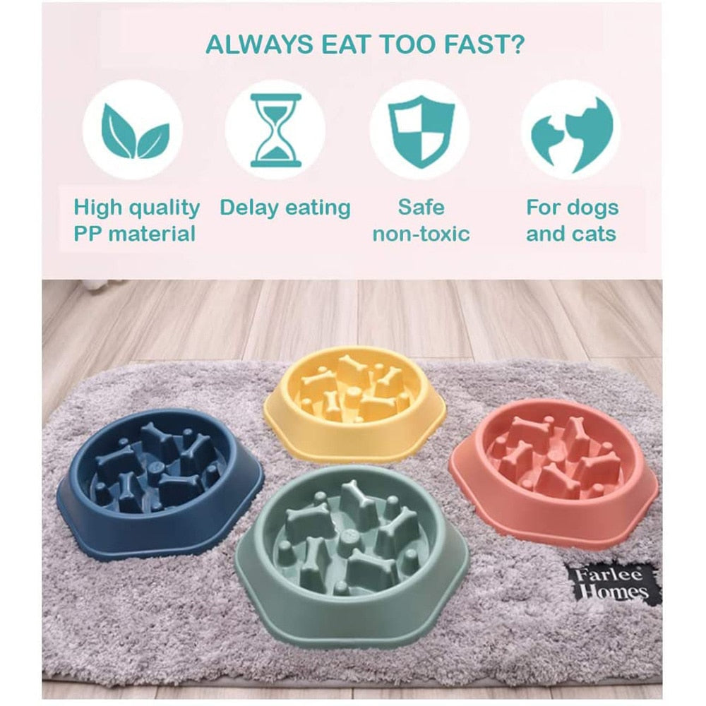 Slow-Eating Pet Bowl