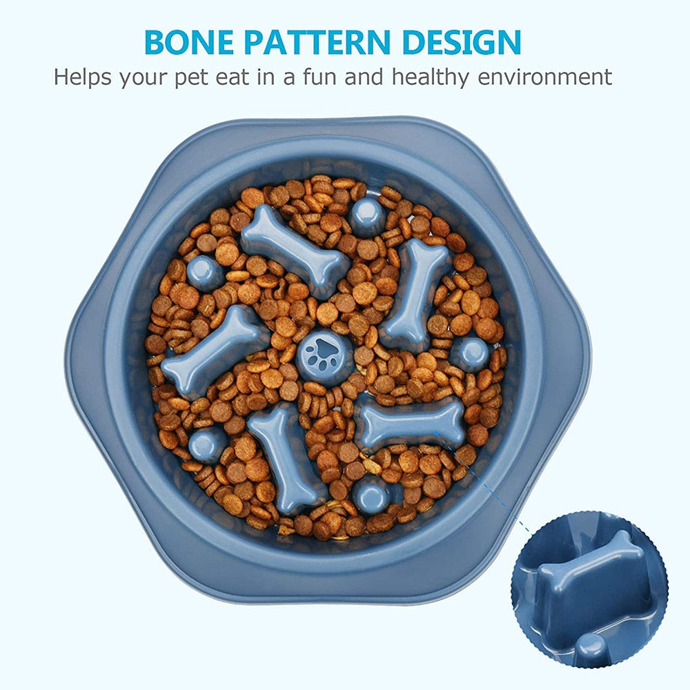 Slow-Eating Pet Bowl