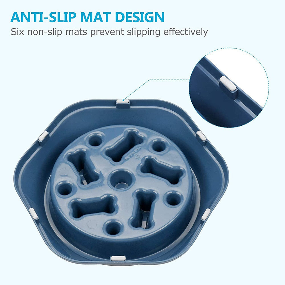 Slow-Eating Pet Bowl