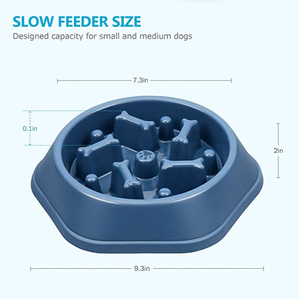 Slow-Eating Pet Bowl