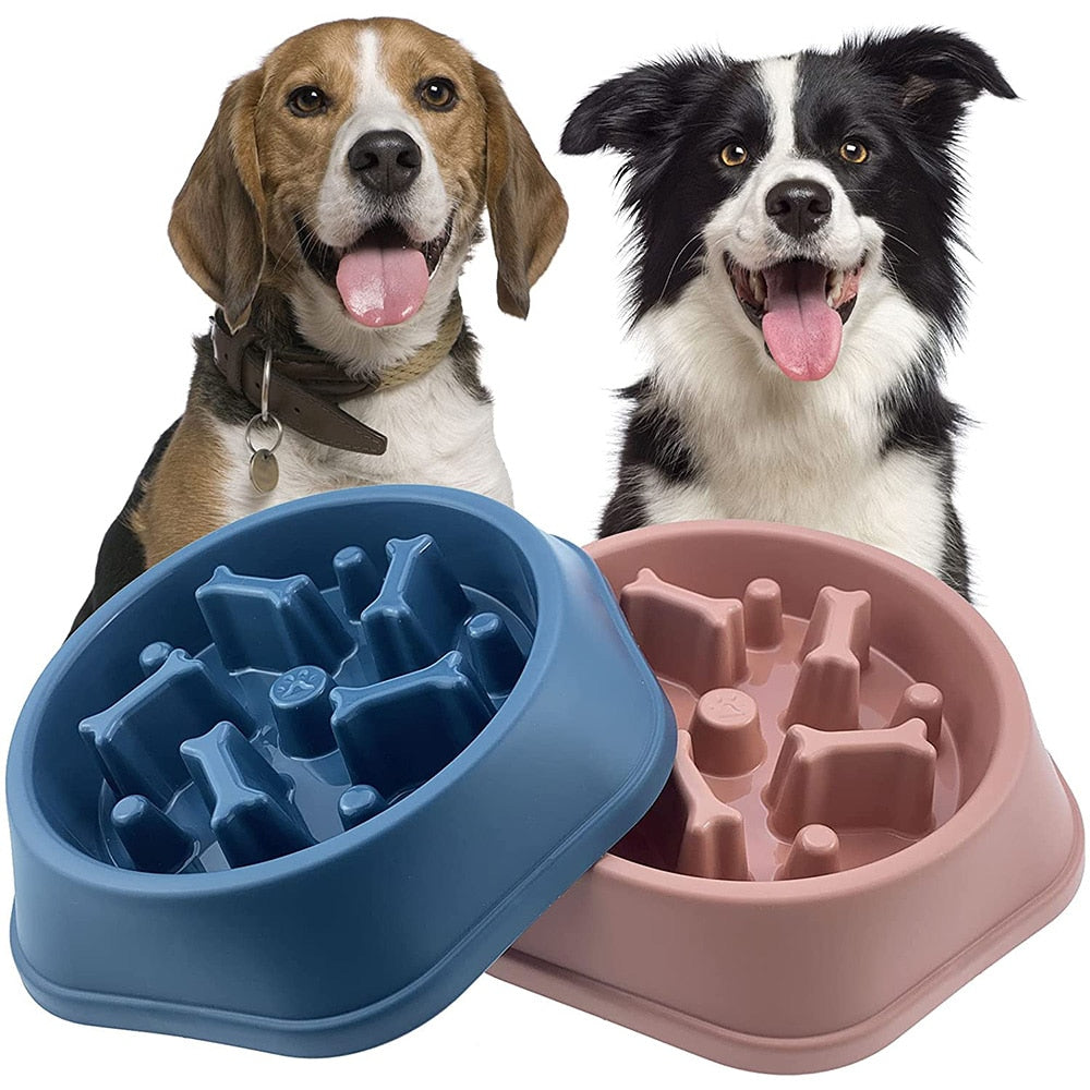 Slow-Eating Pet Bowl