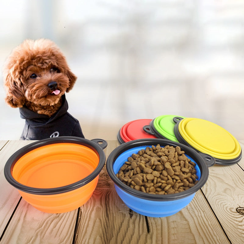 Collapsible Dog Bowl