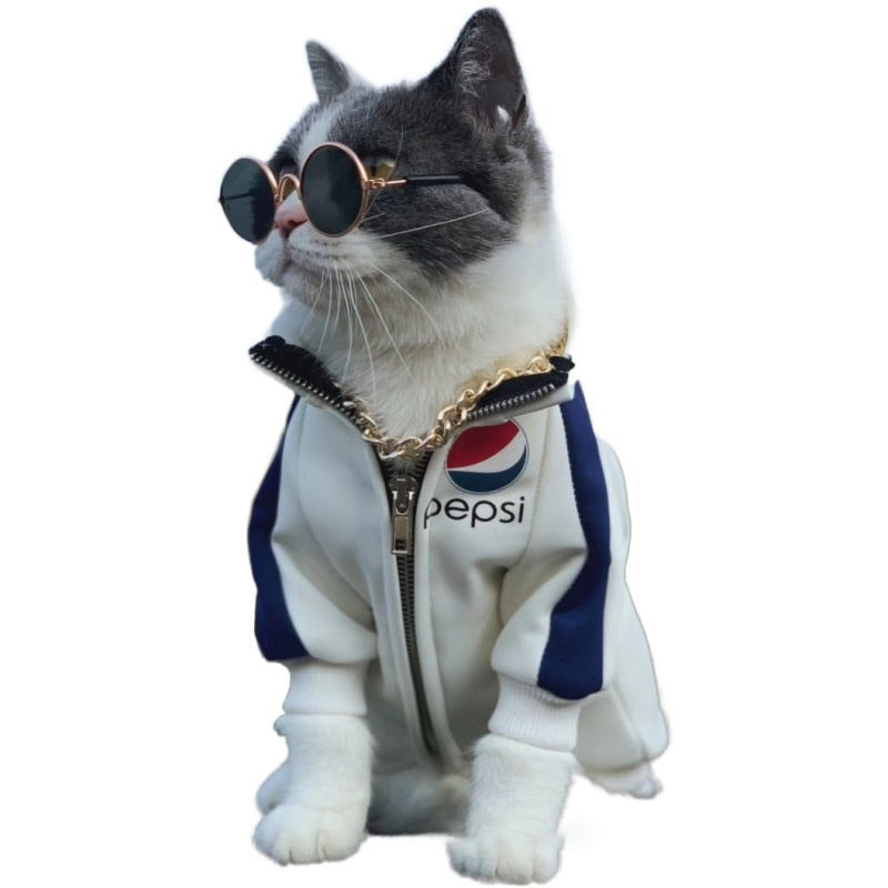 Vintage Pet Sunglasses